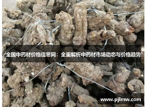 全国中药材价格信息网：全面解析中药材市场动态与价格趋势