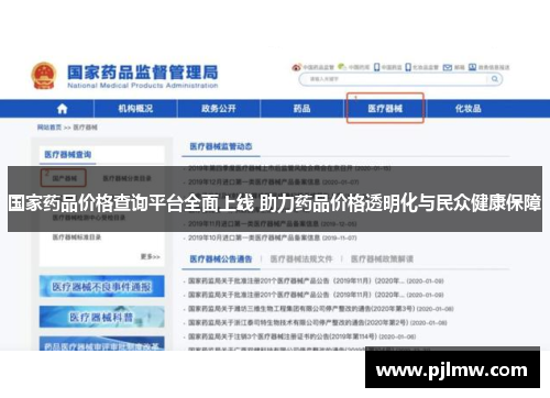 国家药品价格查询平台全面上线 助力药品价格透明化与民众健康保障