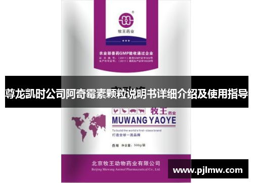 尊龙凯时公司阿奇霉素颗粒说明书详细介绍及使用指导