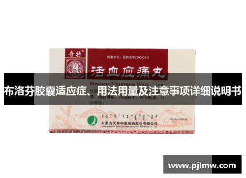 布洛芬胶囊适应症、用法用量及注意事项详细说明书