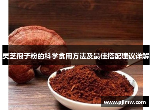 灵芝孢子粉的科学食用方法及最佳搭配建议详解