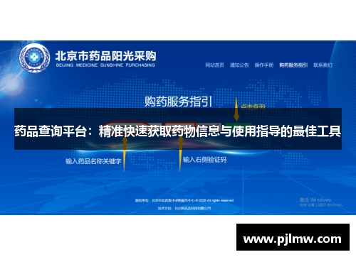 药品查询平台：精准快速获取药物信息与使用指导的最佳工具