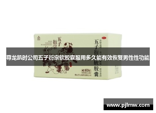 尊龙凯时公司五子衍宗软胶囊服用多久能有效恢复男性性功能