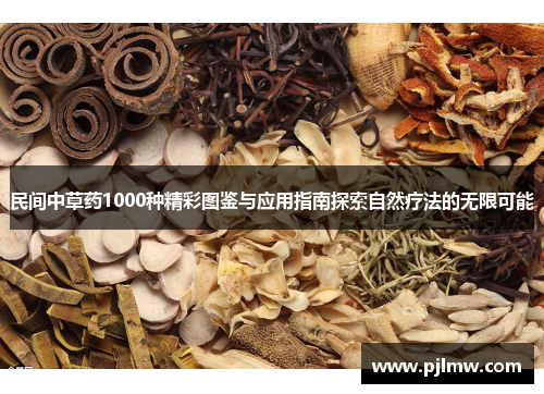 民间中草药1000种精彩图鉴与应用指南探索自然疗法的无限可能