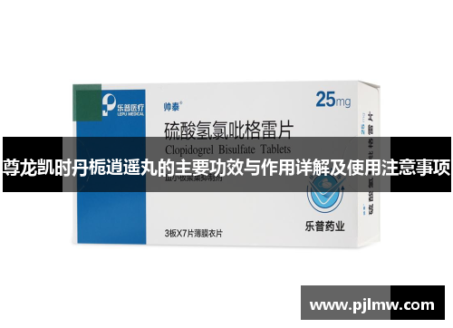 尊龙凯时丹栀逍遥丸的主要功效与作用详解及使用注意事项