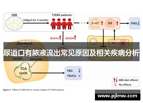 尿道口有脓液流出常见原因及相关疾病分析