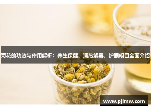 菊花的功效与作用解析：养生保健、清热解毒、护眼明目全面介绍